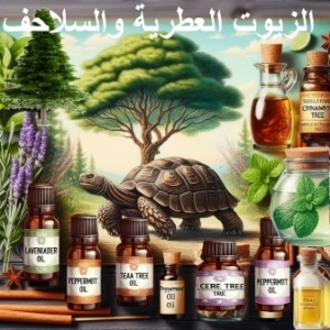 الزيوت العطرية والسلاحف