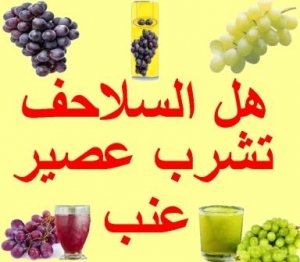 هل يمكن للسلاحف شرب عصير العنب؟ الحقيقة الكاملة وتحذيرات هامة
