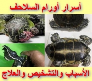 أسرار أورام السلاحف: الأسباب والعلاج