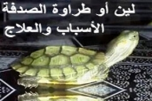 أسباب وعلاج مرض لين أو طراوة الصدفة عند السلاحف