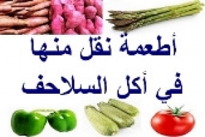 خضروات ونباتات يفضل الإقلال منها في أكل السلاحف