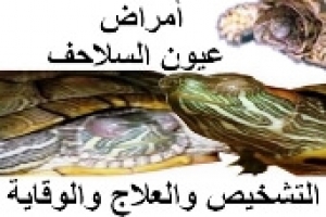 أمراض عيون السلاحف: من التشخيص إلى العلاج والوقاية