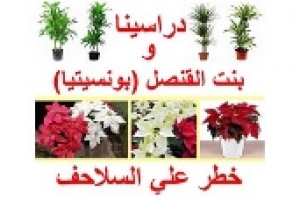 خطورة نباتات الزينة الدراسينا ‬‎وبنت القنصل على السلاحف