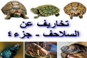 تخاريف عن السلاحف – الجزء الرابع