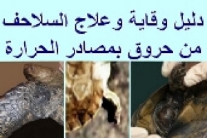 دليل للوقاية والعلاج من حروق جلد السلاحف بسبب مصادر الحرارة