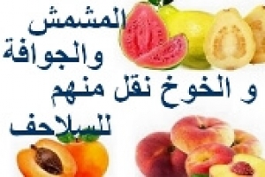 الخوخ والمشمش والجوافة يفضل الإقلال منهم للسلاحف