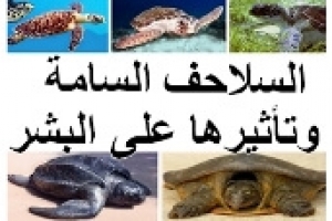 السلاحف السامة وأضرارها على البشر | الأسباب وطرق العلاج والوقاية