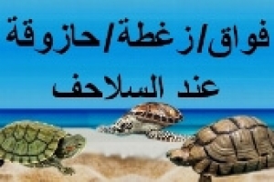 هل السلاحف تصاب بالفواق أو الزغطة أو الحازوقة