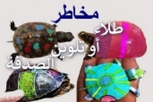 طلاء أو تلوين صدفة السلحفاة | أضراره وخطورته على السلاحف