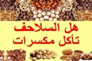 هل السلاحف تأكل المكسرات او الياميش