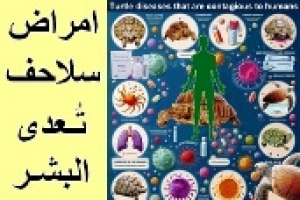 هل السلاحف تنقل أمراض للبشر